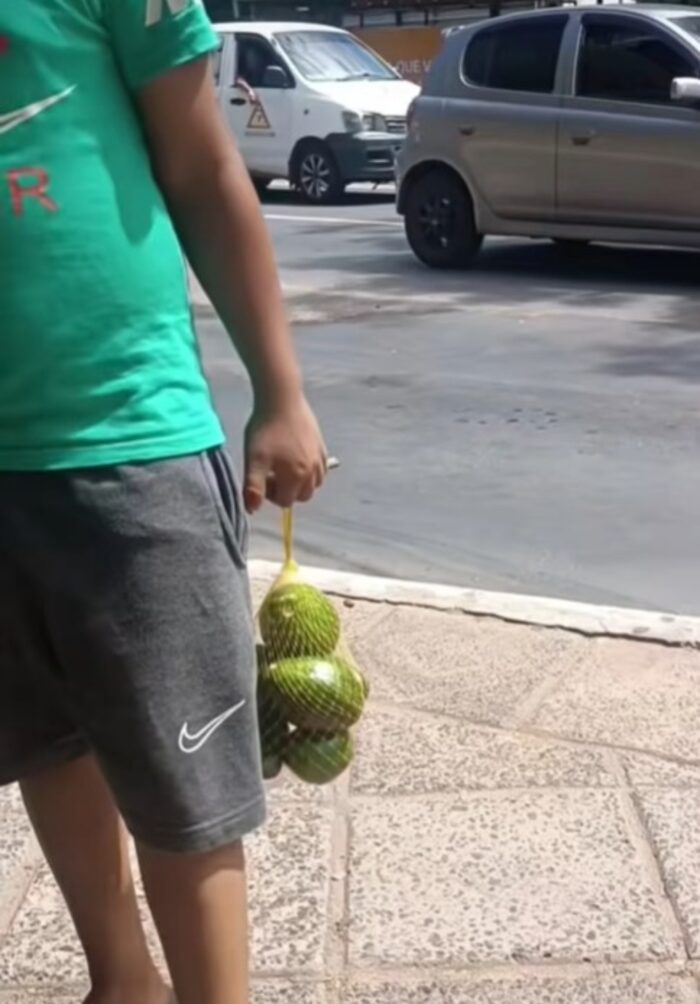 Entrega de alimentos a una familia